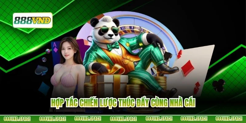 Hợp tác chiến lược thúc đẩy cùng nhà cái